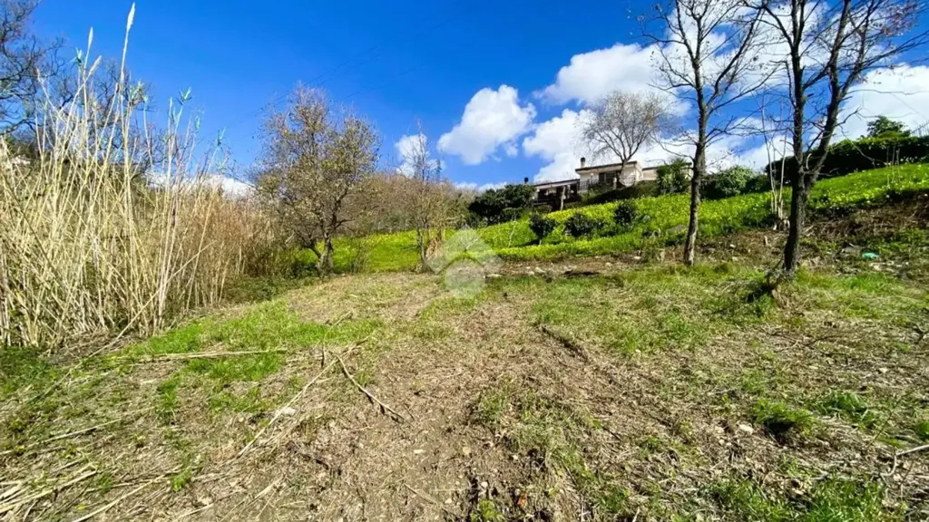 Jardin - Panoramic Villa with Sea View in Paola
