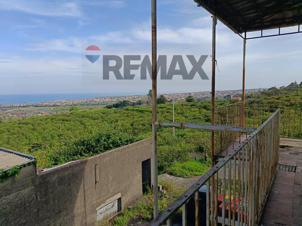 Terrasse - Agricultural Estate with Lemon Grove in Mascali