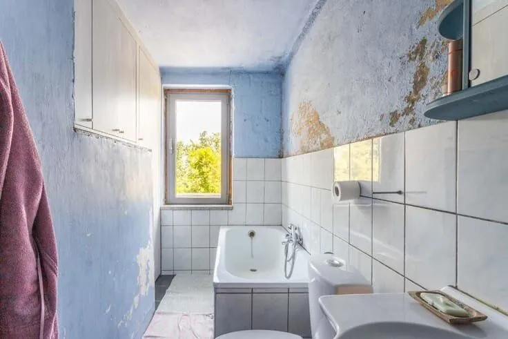 Vannitoad - Rural House with Garden in Aalbeke