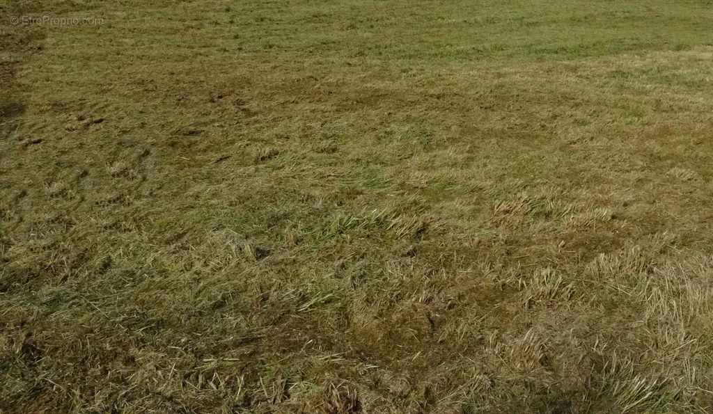 Aed - Constructible Plot with Garden near Amiens