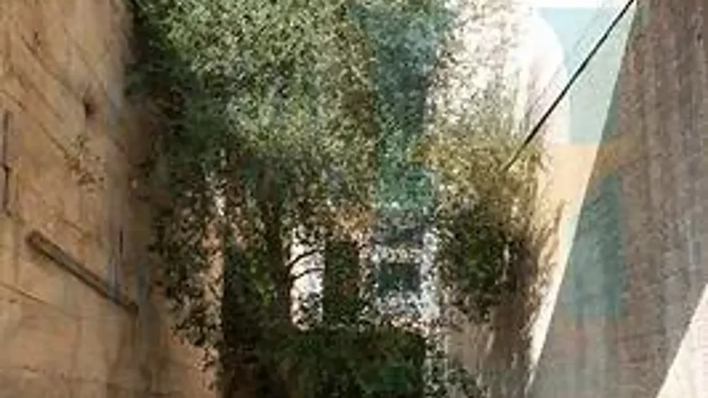 Aed - Rustic Complex with Baroque Views in Noto