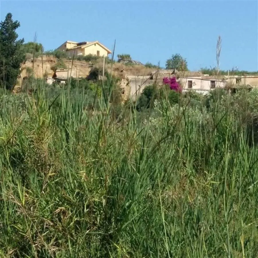 Jardin - Rustic Casale with Olive Grove in Sciacca