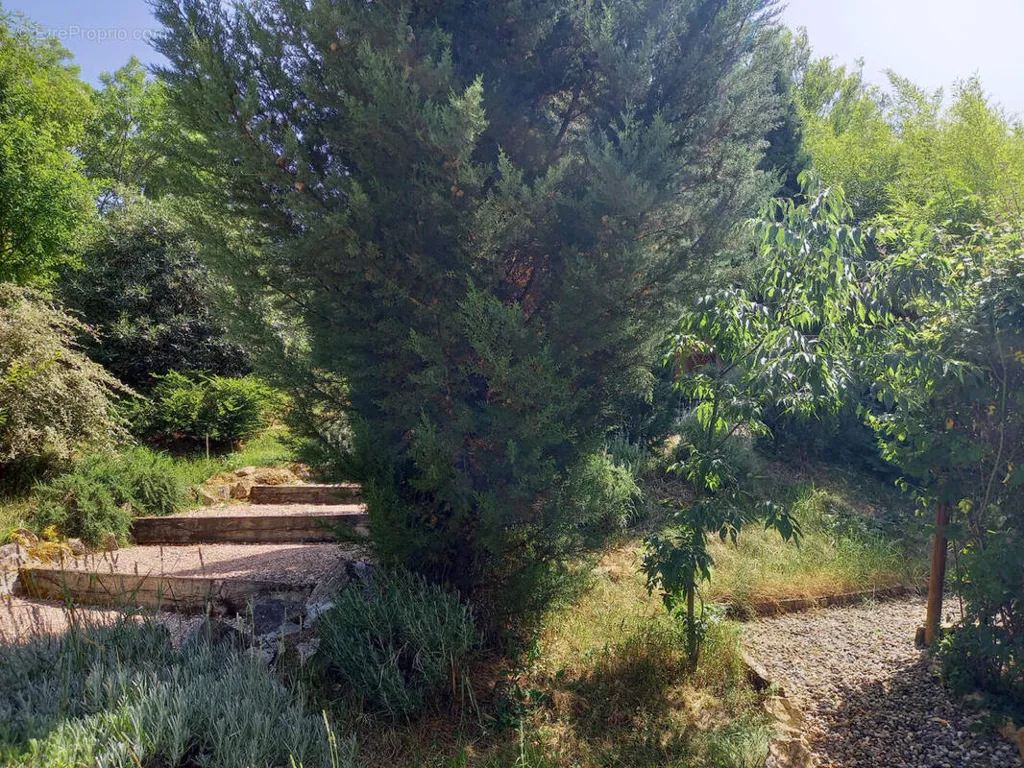 Jardin - Ensemble Immobilier Rénové avec Piscine près de Cahors