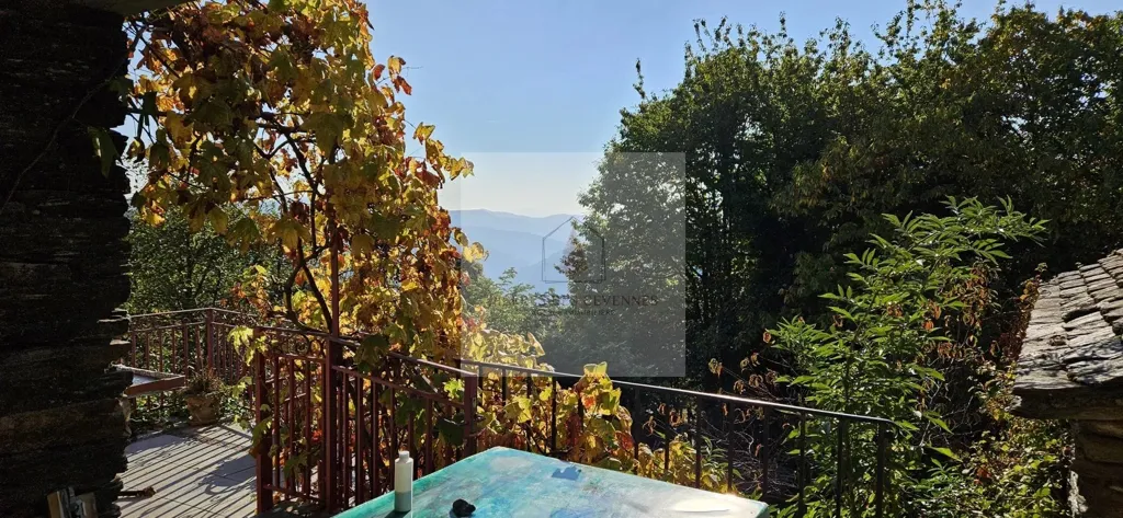 Terrasse - Mas Cévenol avec Piscine et Vue Dégagée