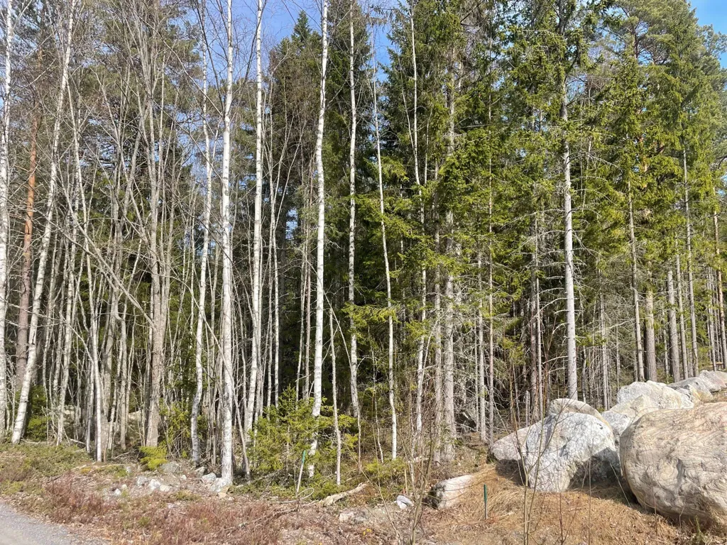 Garden - Plot with Water Access in Åre