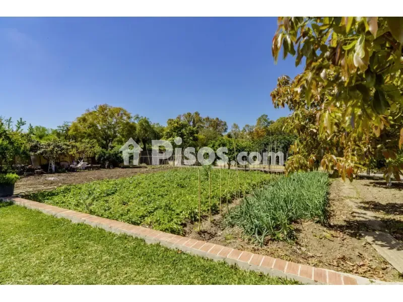 Giardino - Pareded Villa with Pool in La Quinta