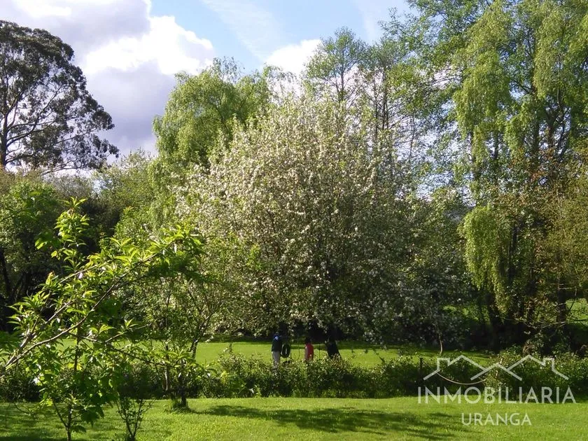 Jardin - Historic Chalet with Spa in Badames, Cantabria
