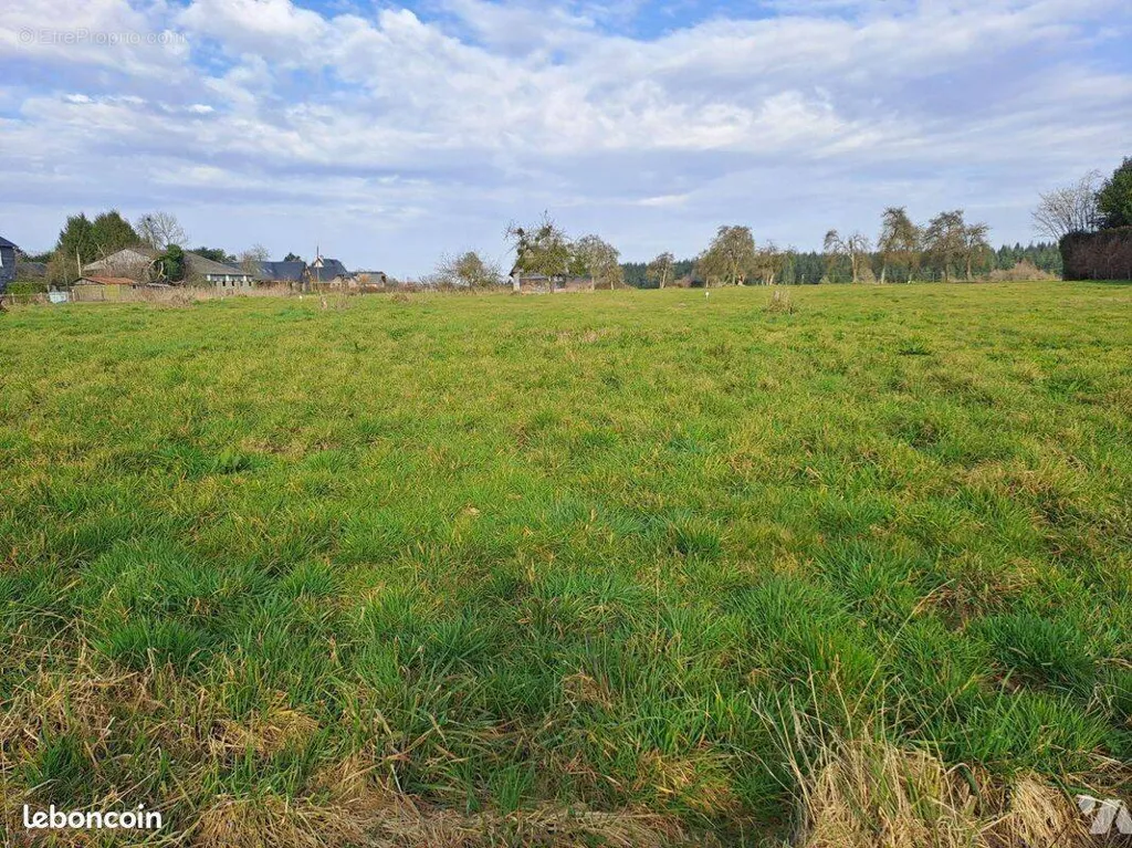 Aed - Buildable Land with Natural Setting in Fierville les Parcs