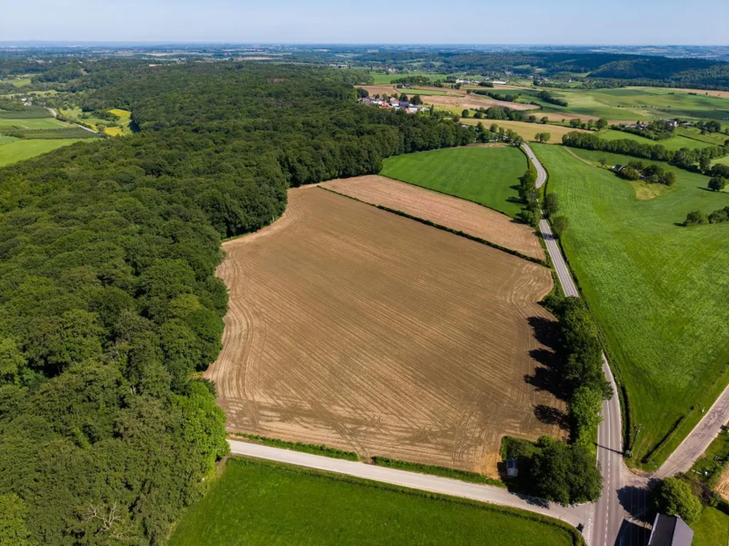Vue aérienne - Terrain Agricole Plat à Rémersdael dans les Fourons
