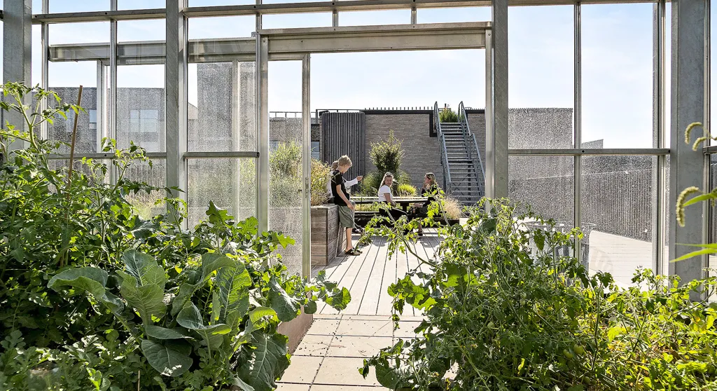 Terrasse - 2-Bedroom Apartment with South-Facing Balcony