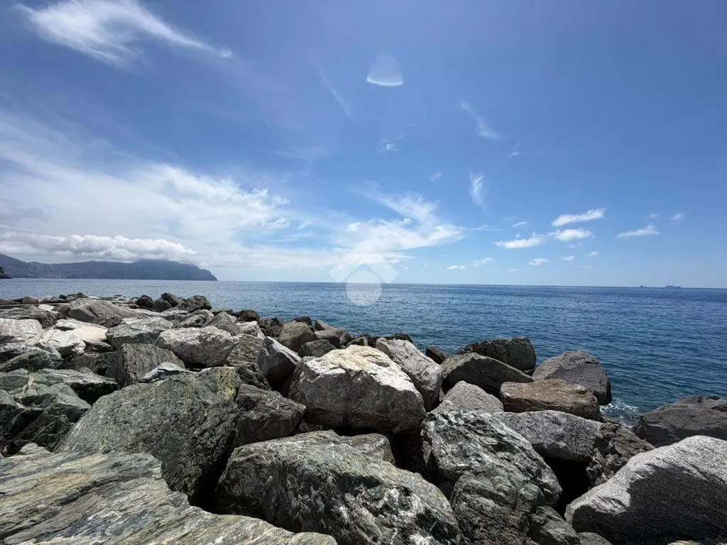 Monolocale with Private Courtyard in Bogliasco