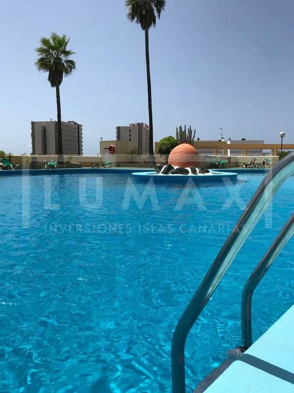 Pool - Apartment with Pool in Playa de Las Américas