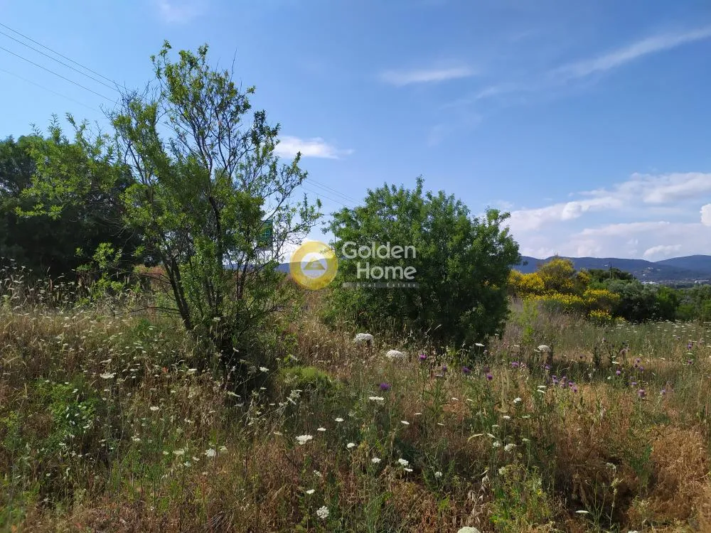 Aed - Large Plot with Sea View in Aegina