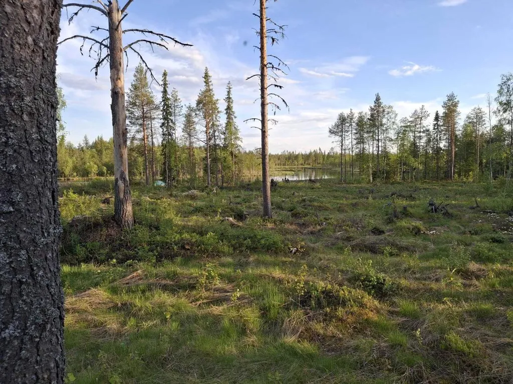 Jardin - Sauna Cabin with River View in Simosenniemi