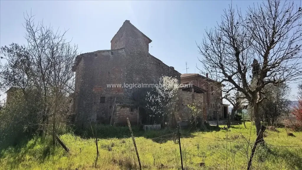 Extérieur - Rustic Casale with Garden in Sinalunga