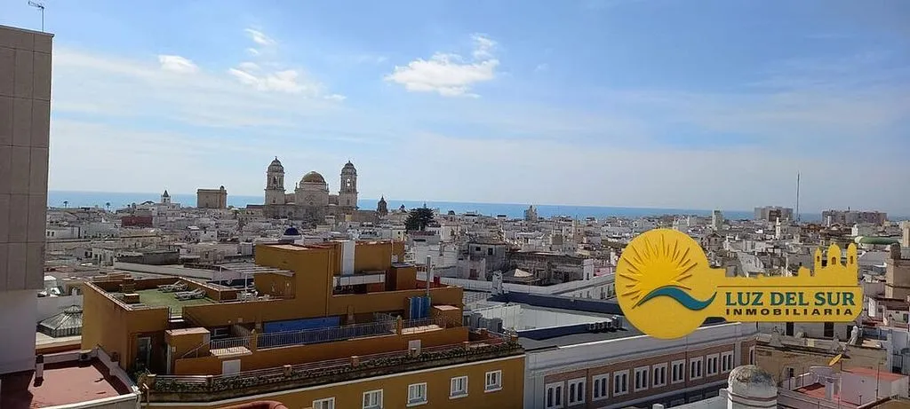 Terrazza - Character Flat with Balcony in Alameda