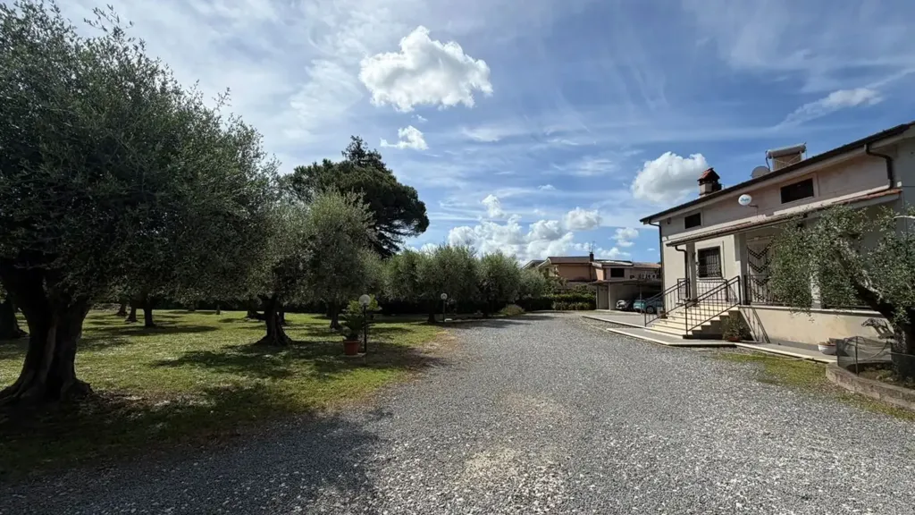 Esterno - Rustic Villa with Olive Grove in Lanuvio