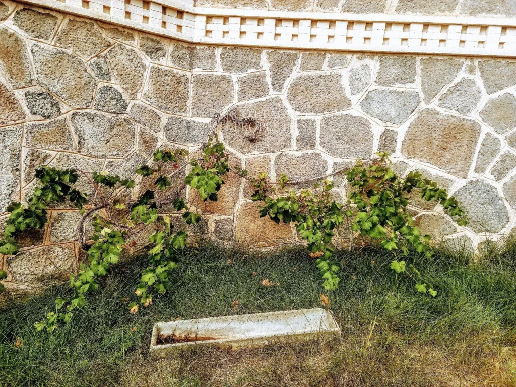 Jardin - Masia with Modernist House in Avinyó
