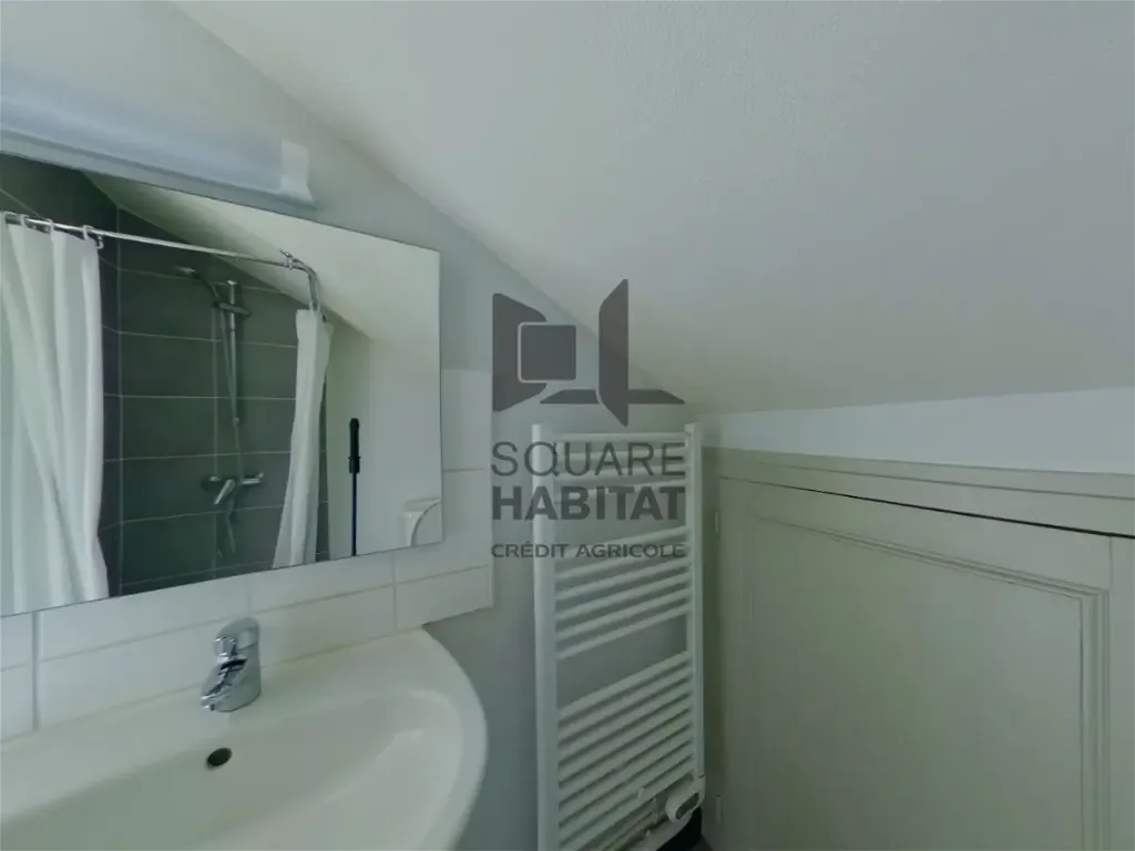 Salles de bain - Appartement Rénové Proche Parc Blossac à Poitiers