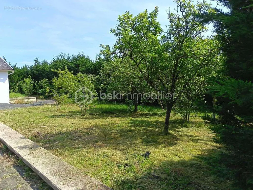Jardin - Maisonnette à Rénover avec Terrain à Anjouin