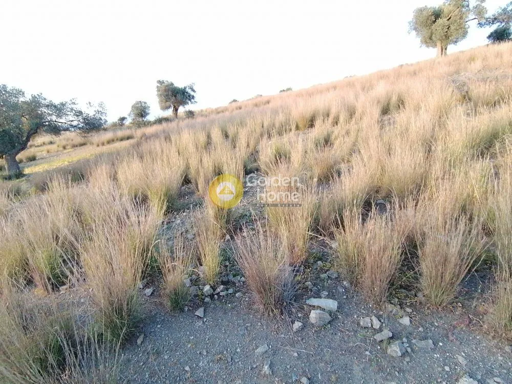 Aed - Agricultural Plot with Panoramic Views in Phaistos