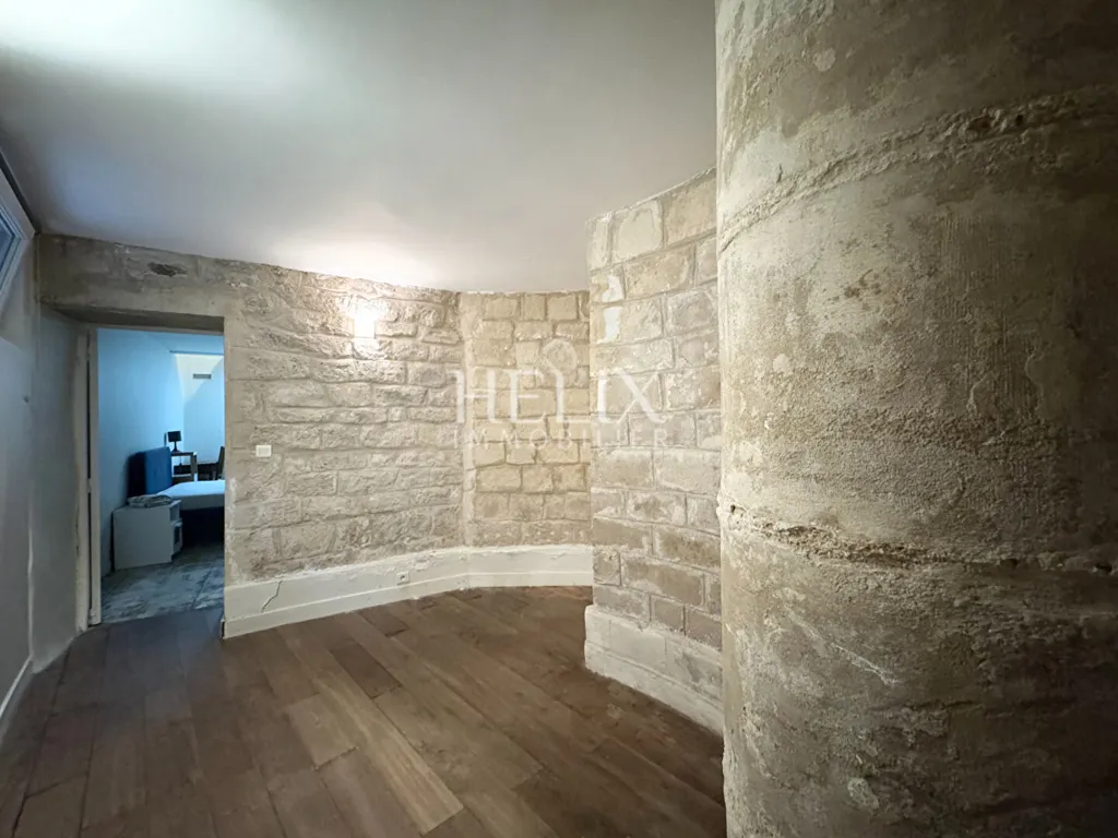 Toad - Duplex Flat with Stone Features in Le Pecq