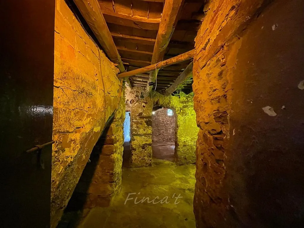 Toad - Stone Semi-detached House with Garden in Moià