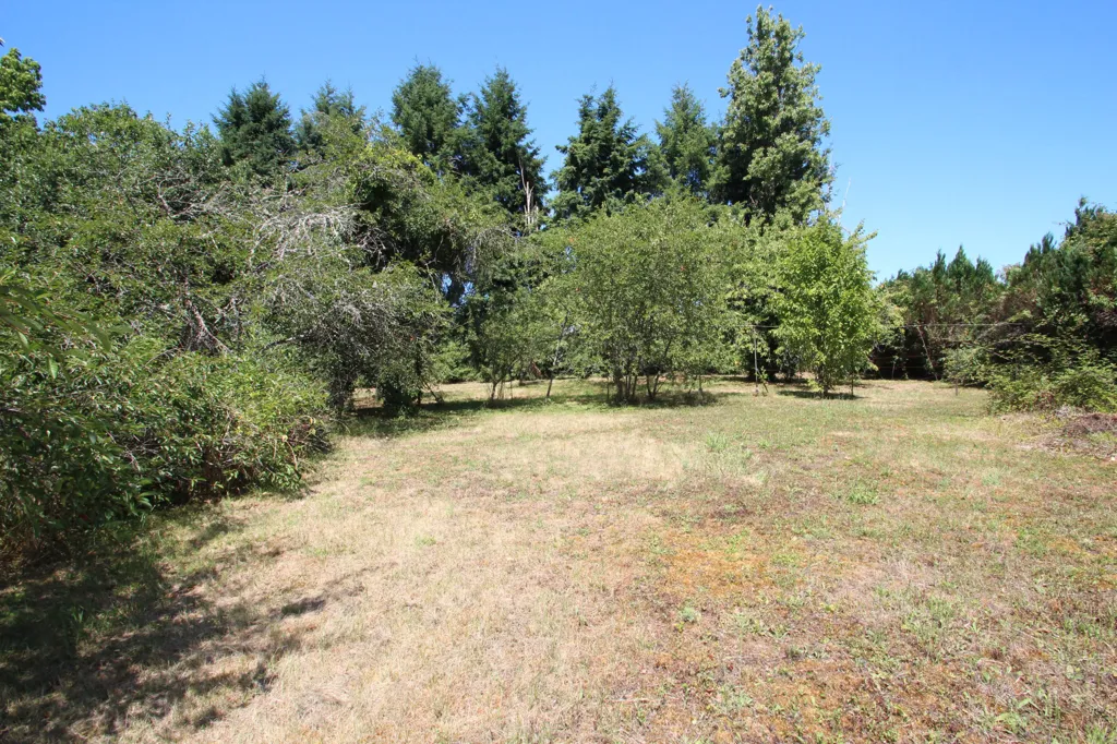 Jardin - Maison du 19ème Siècle avec Parc à Champvert