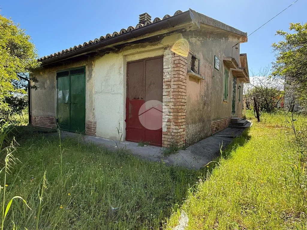 Extérieur - Rustic House with Large Garden in Corigliano-Rossano