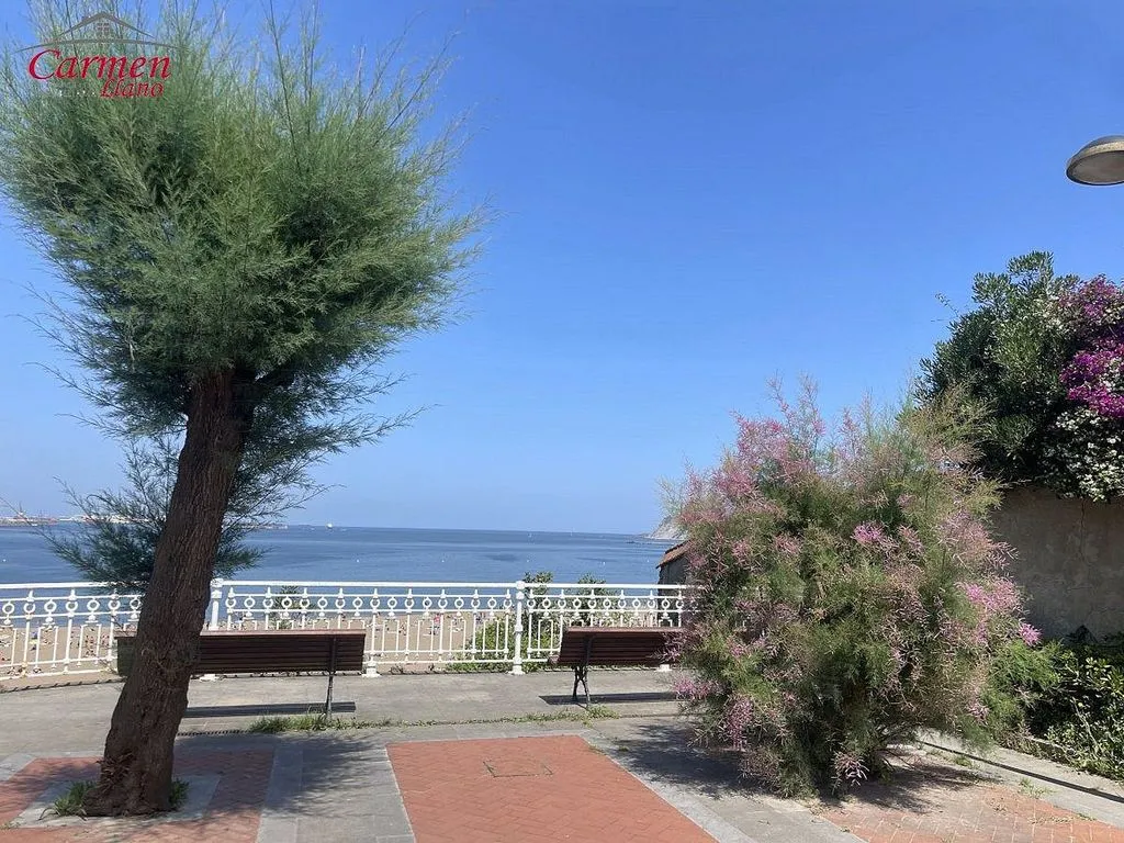 Spacious Apartment with Terrace in Neguri