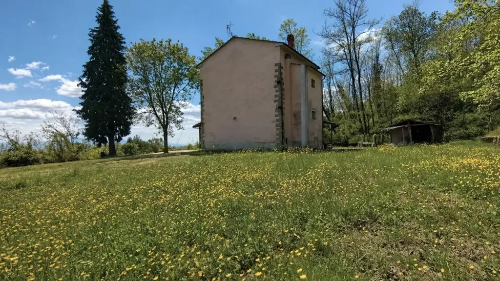 land_plot