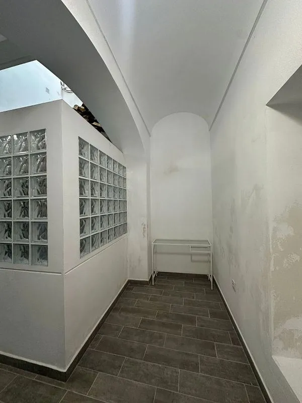 Toad - Reform Apartment with Terrace in Casco Antiguo