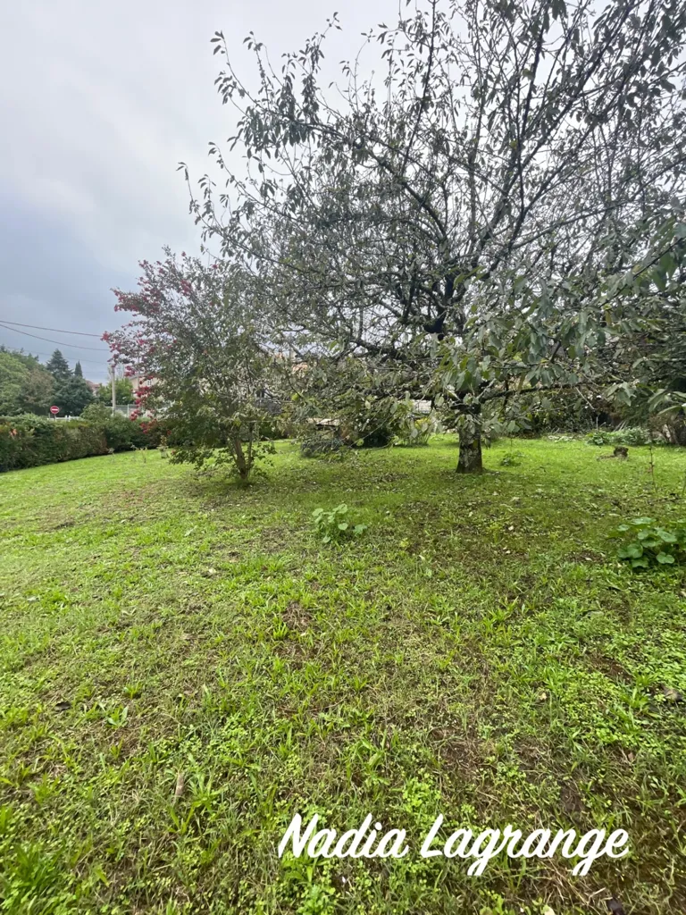 Jardin - Maison en Pierre avec Grange et Hangar au Calme