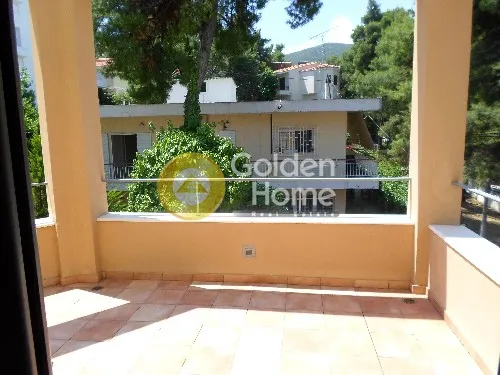 Terrass - Detached House with Garden in Drosia - Rhea