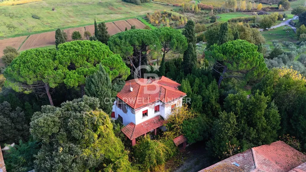 Vue aérienne - Rustic Estate with Lake in Vinci, Tuscany