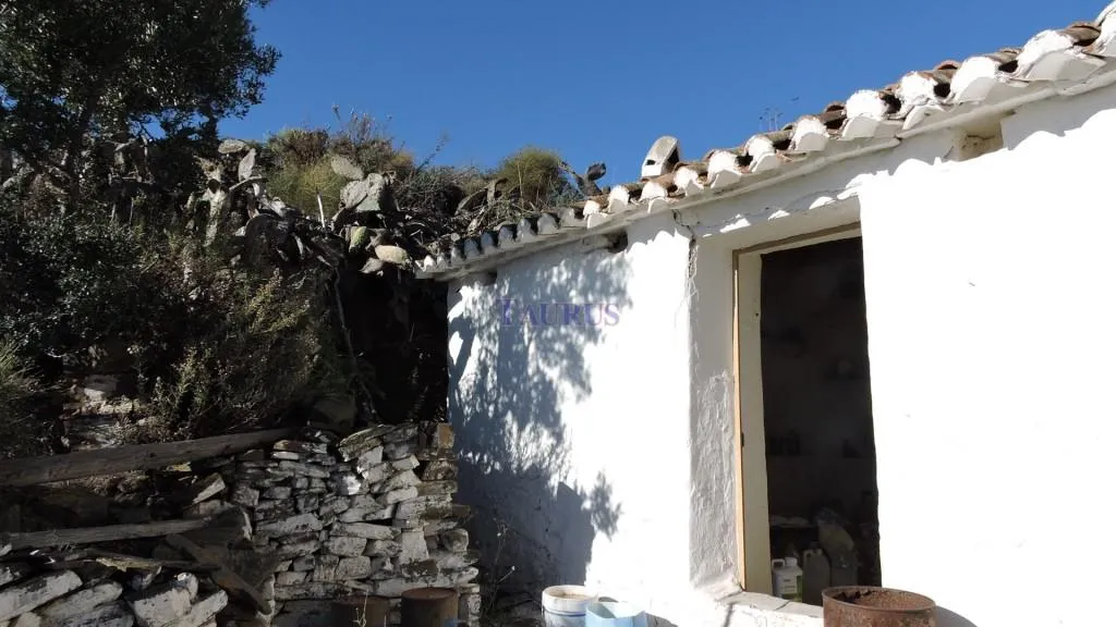 Extérieur - Traditional Finca with Mountain Views in Sayalonga