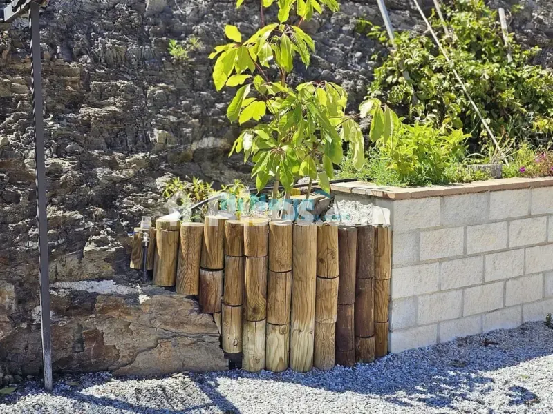 Jardin - Country House with Pool in Torrox