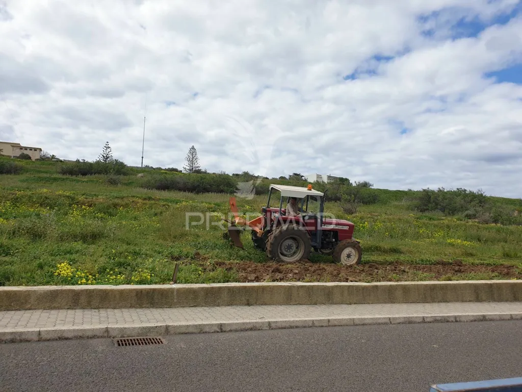 Garden - Flat Land with Sea View in Porto Santo
