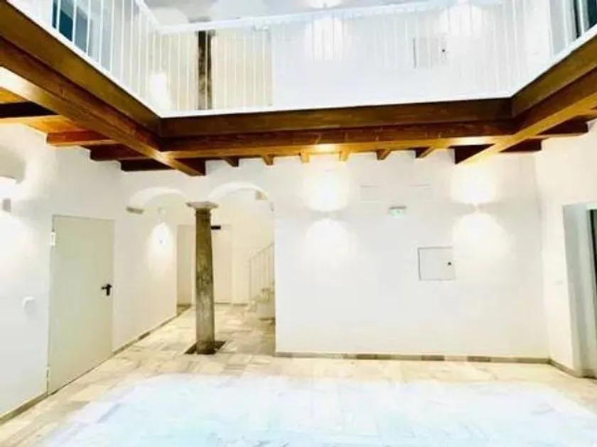 Toad - New Flat in Historic Centre, Cádiz