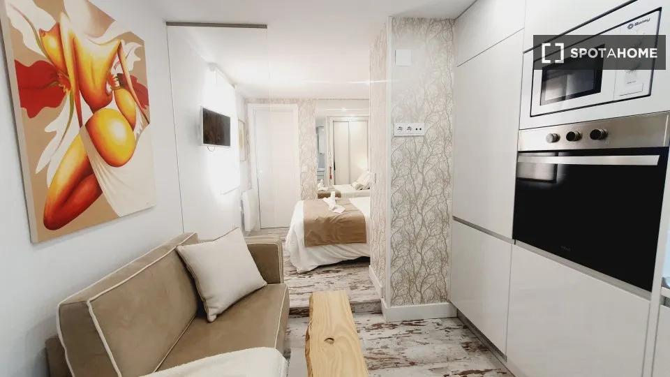 Living Room - Furnished Studio in Trafalgar, Madrid