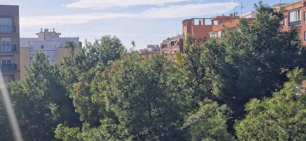 Furnished Flat with Balcony in Valencia