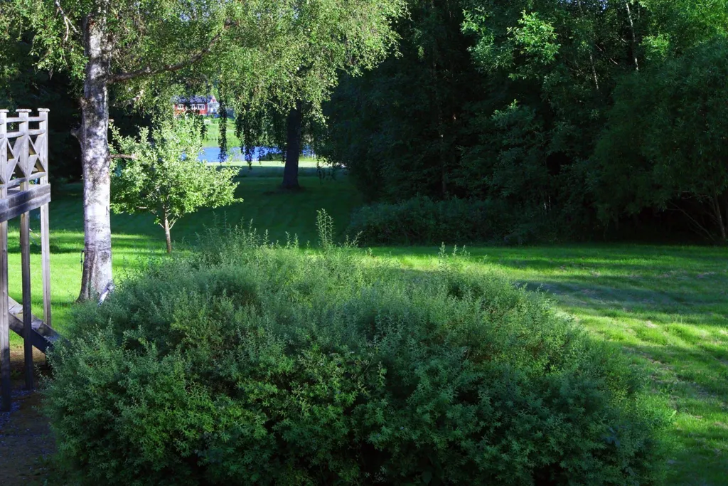 Jardin - Maison 3 pièces à Sundsvalls kommun