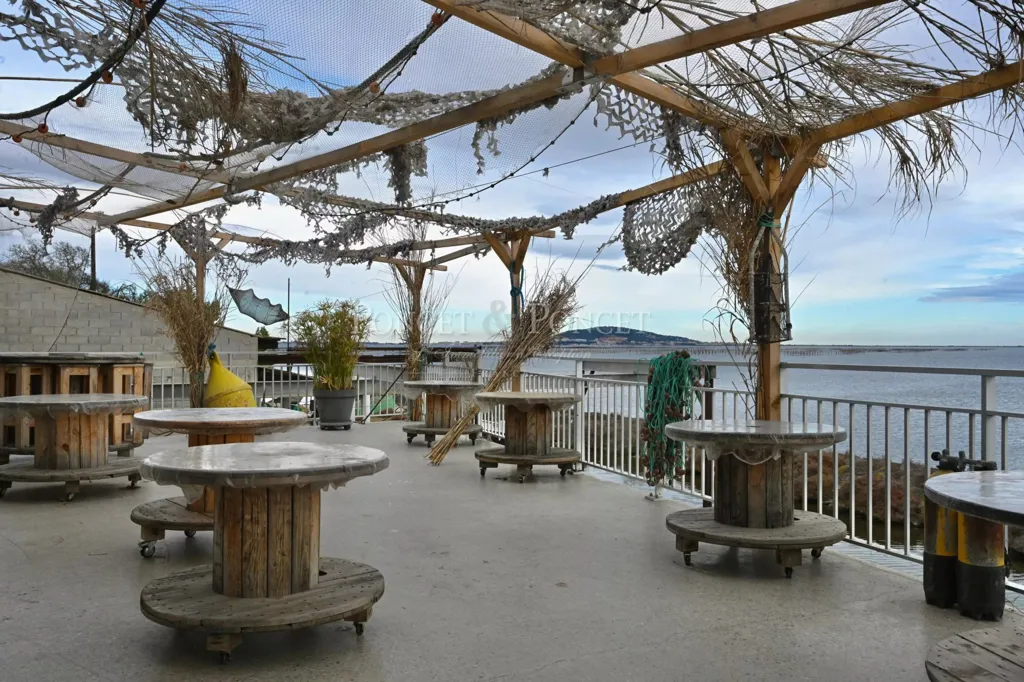 Terrasse - Ferme de Coquillages avec Restaurant sur l'Étang de Thau