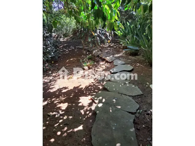 Aed - Rustic Finca with Orchard in Valleseco
