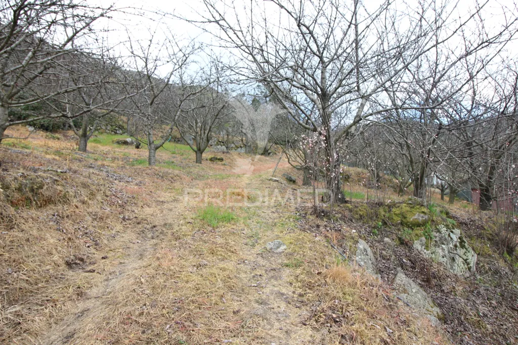 Jardin - Douro Vineyard with Water Source in Resende