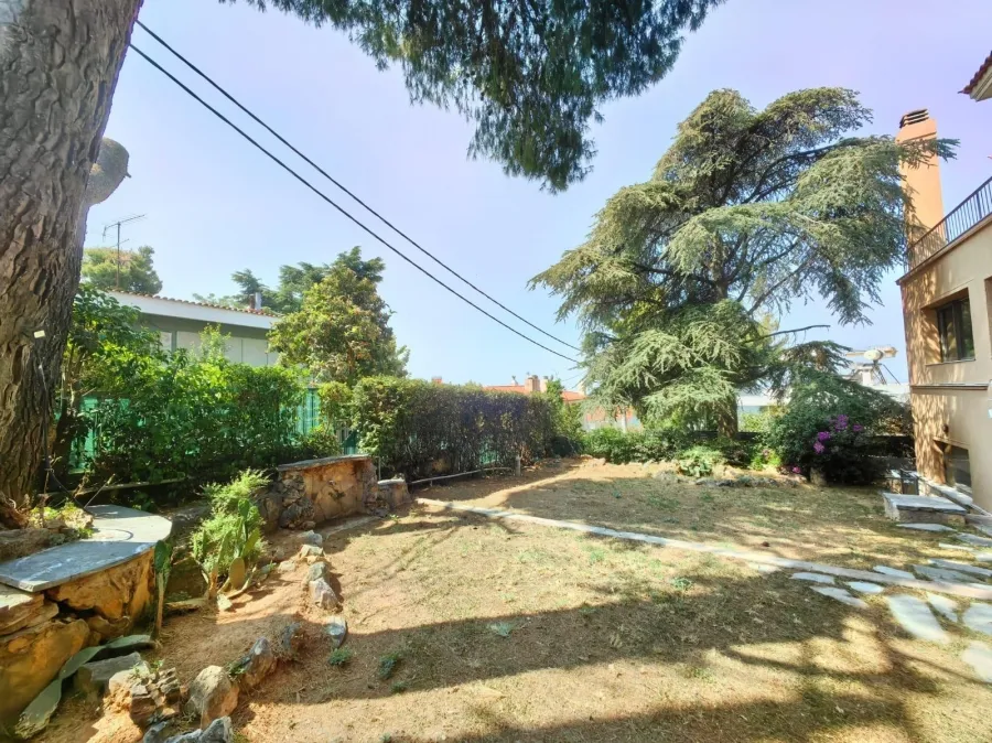 garden