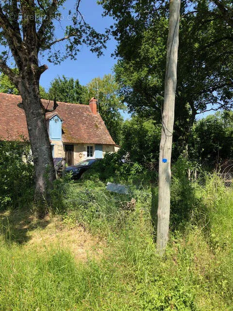 Jardin - Maison de Campagne au Calme avec Jardin à Heugnes