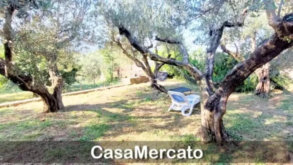 Aed - Loft with Garden in Grottaferrata