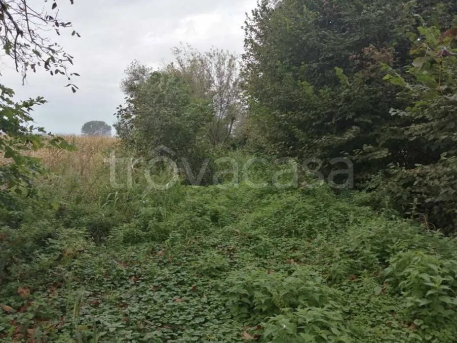 Aed - Terraced Villa with Garden in Virle Piemonte