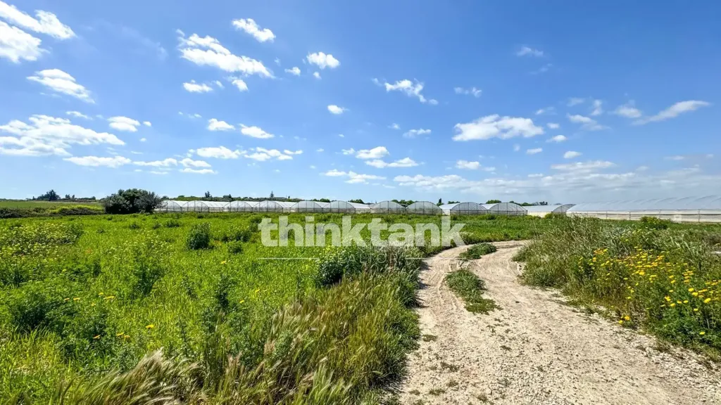 Jardin - Rustic Farmhouse with Sea Proximity in Noto